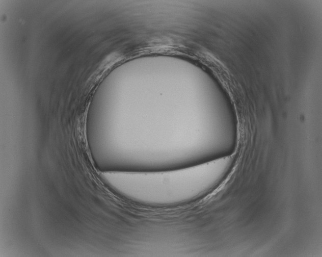 X0000062801353200512221055