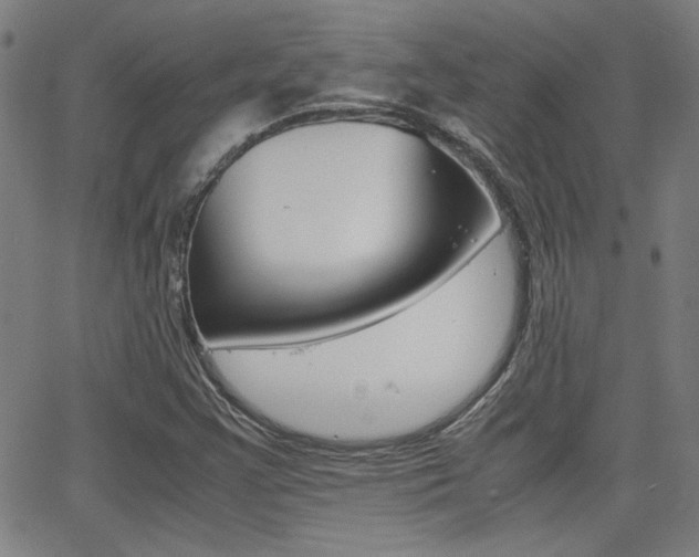 X0000062801355200512221055