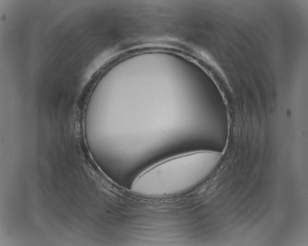 X0000062801360200512221055