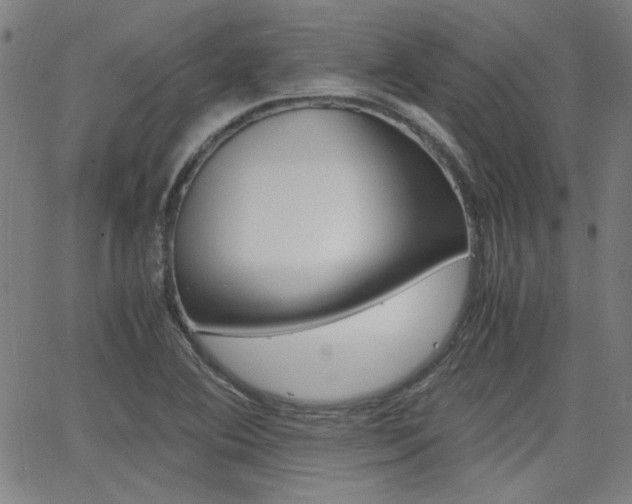 X0000062801364200512221055