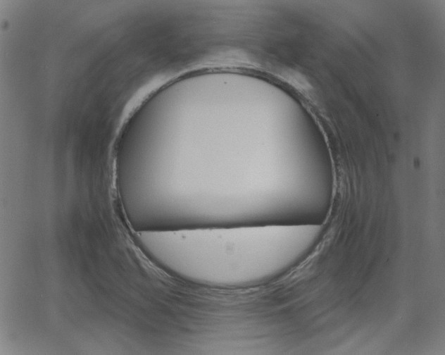 X0000062801366200512221055