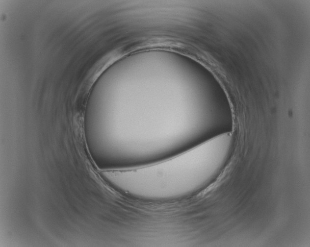 X0000062801369200512221055