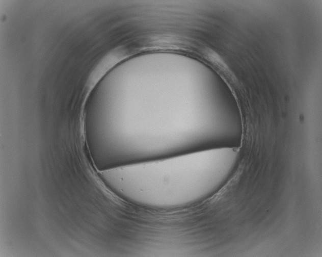 X0000062801370200512221055