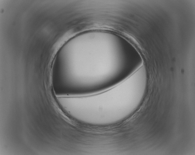 X0000062801371200512221055