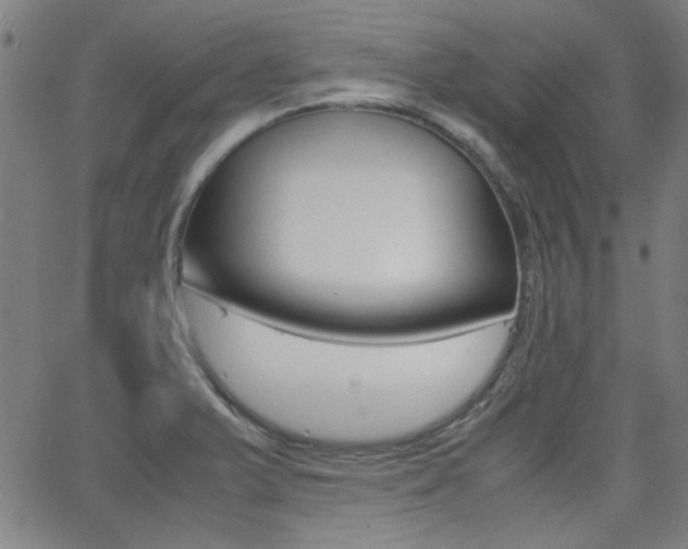 X0000062801375200512221055