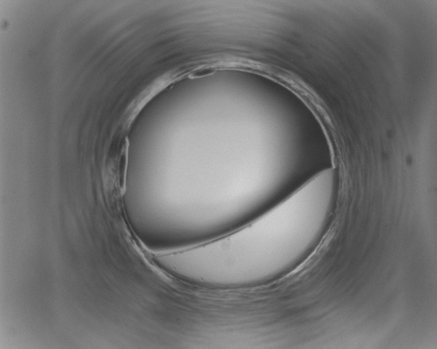 X0000062801385200512221055