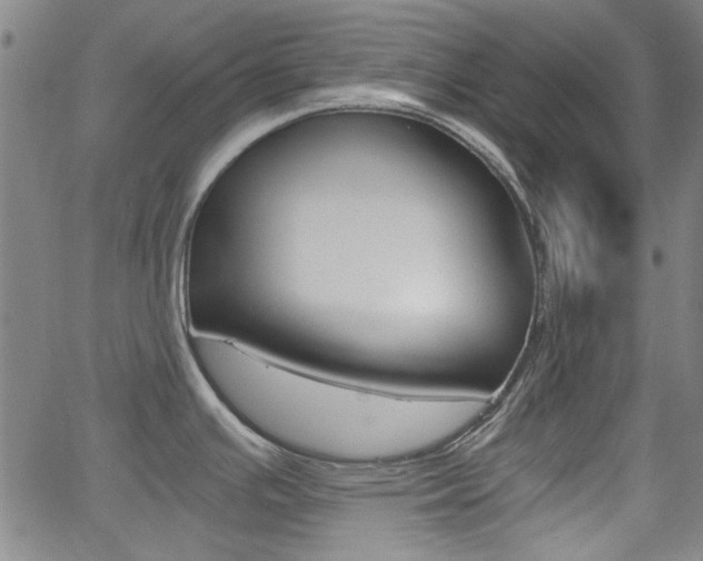 X0000062801391200512221055
