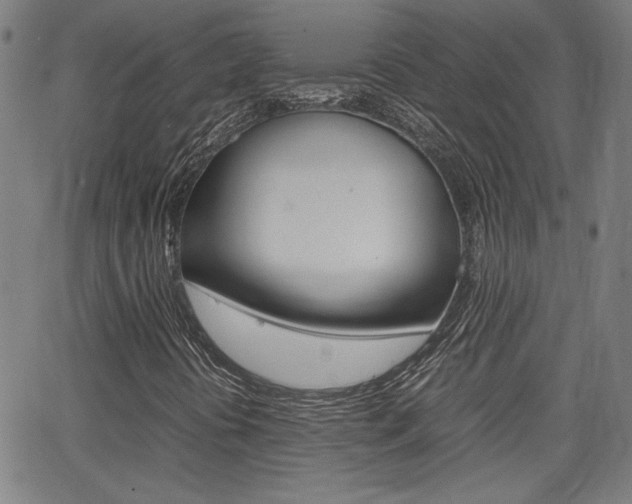 X0000062801394200512221054