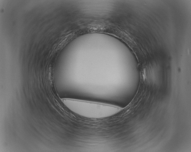 X0000062801396200512221054