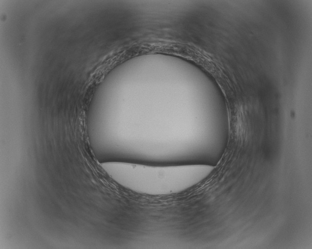 X0000062801397200512221054