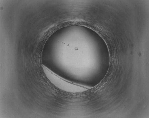 X0000062801398200512221054