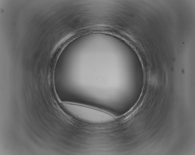 X0000062801402200512221054