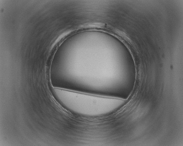 X0000062801404200512221054