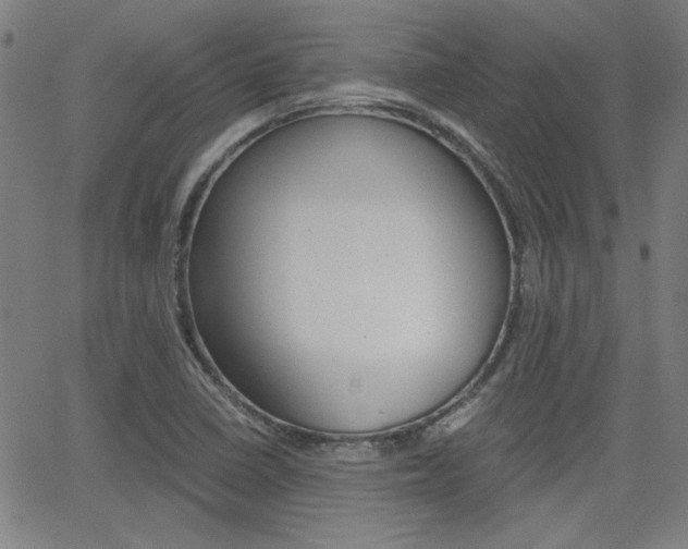 X0000062801410200512221054
