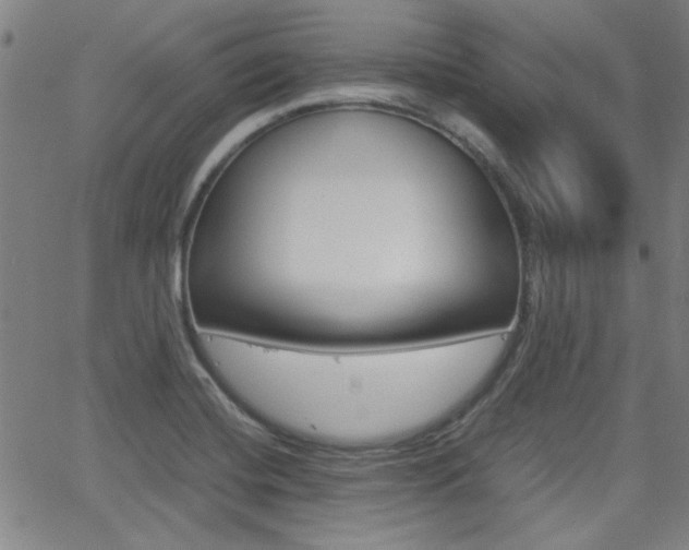 X0000062801420200512221054