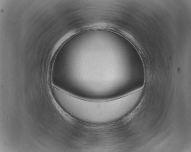 X0000062801426200512221054