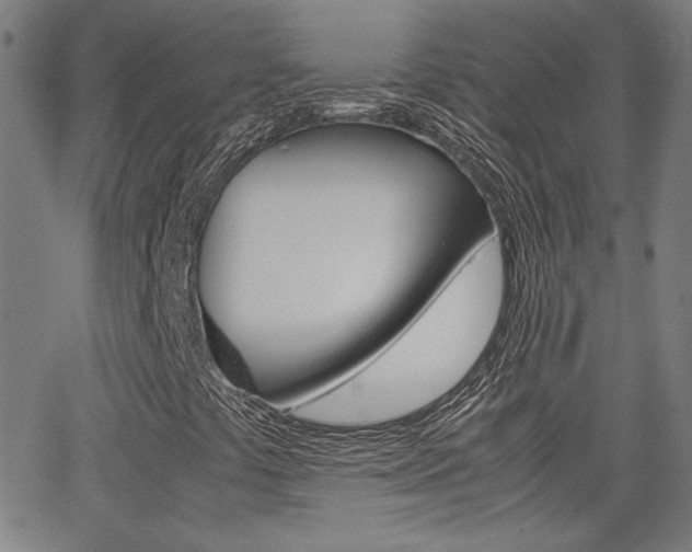 X0000062801441200512221054