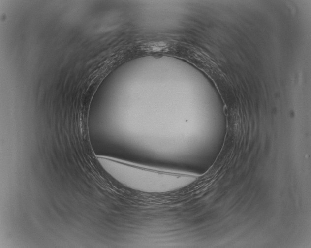X0000062801442200512221054