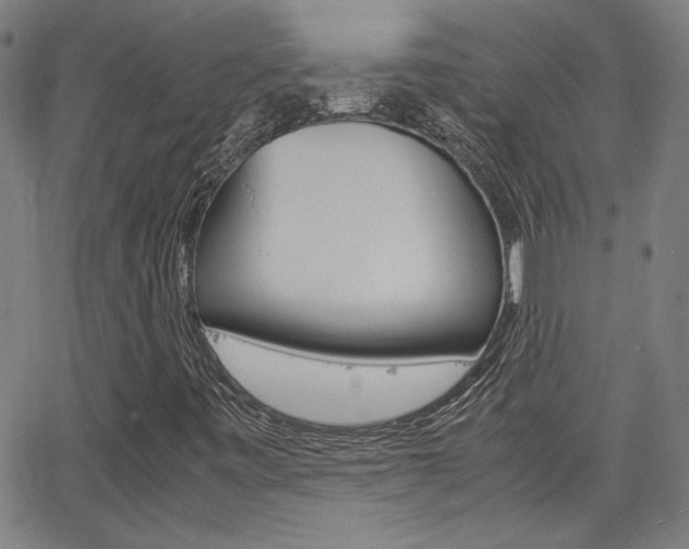 X0000062801443200512221054