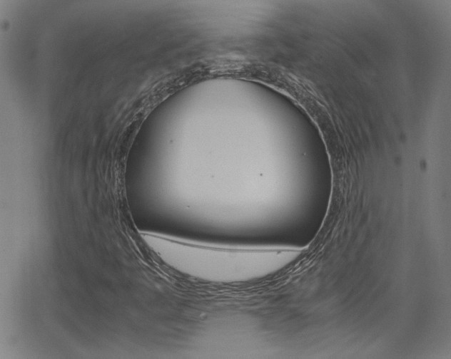 X0000062801445200512221054