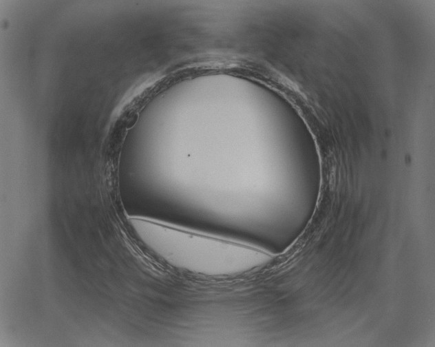 X0000062801448200512221054