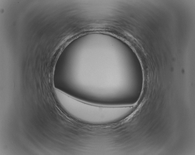 X0000062801449200512221054