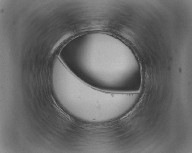X0000062801450200512221054