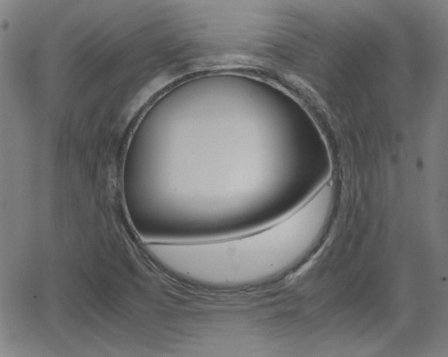 X0000062801457200512221054