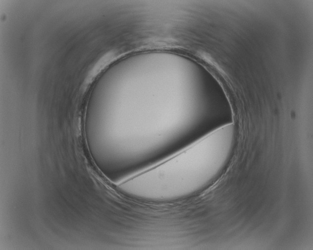 X0000062801459200512221053