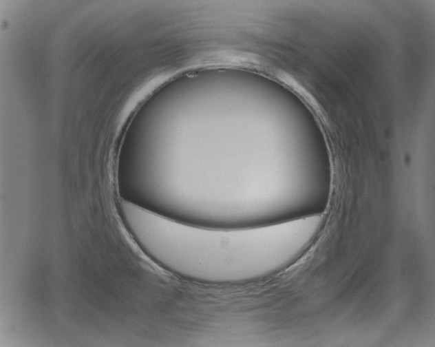 X0000062801477200512221053