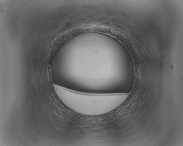 X0000062801493200512221052