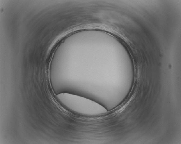 X0000062801498200512221052