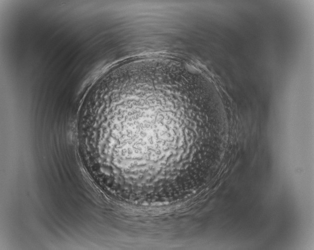X0000062800002200512221417