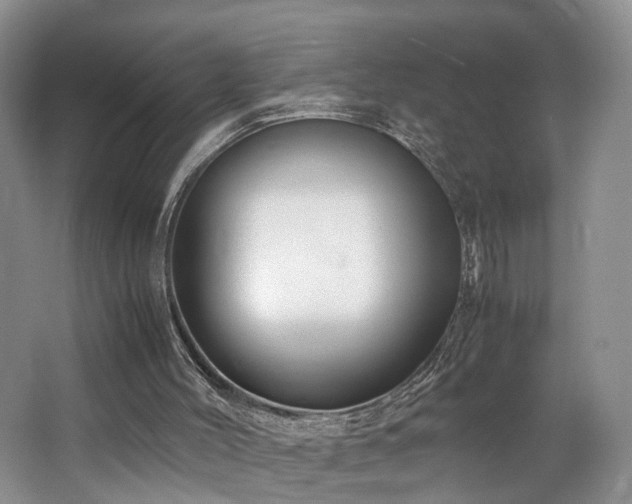 X0000062800004200512221417