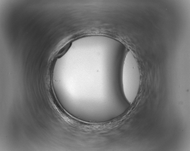 X0000062800005200512221417