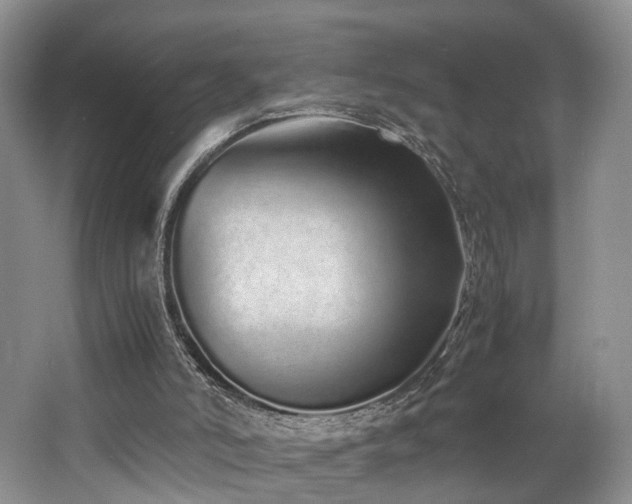 X0000062800006200512221417