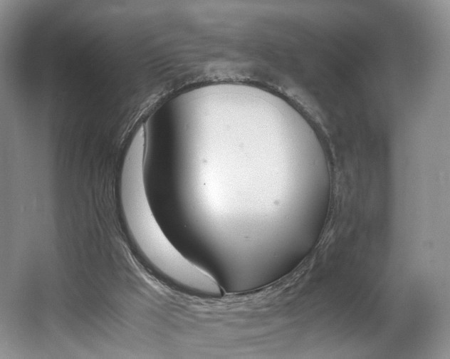 X0000062800009200512221417