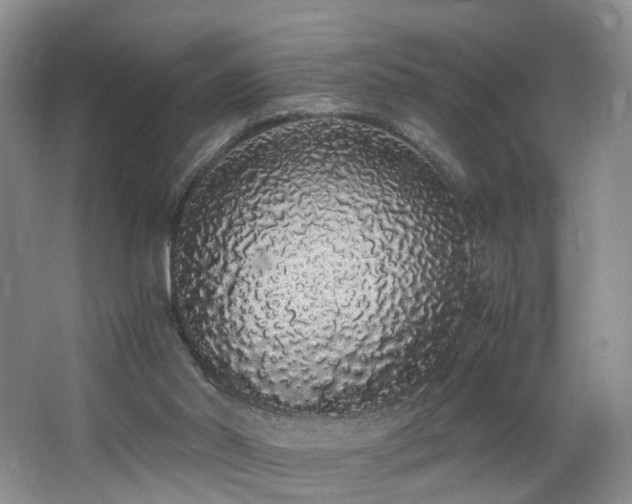 X0000062800014200512221417