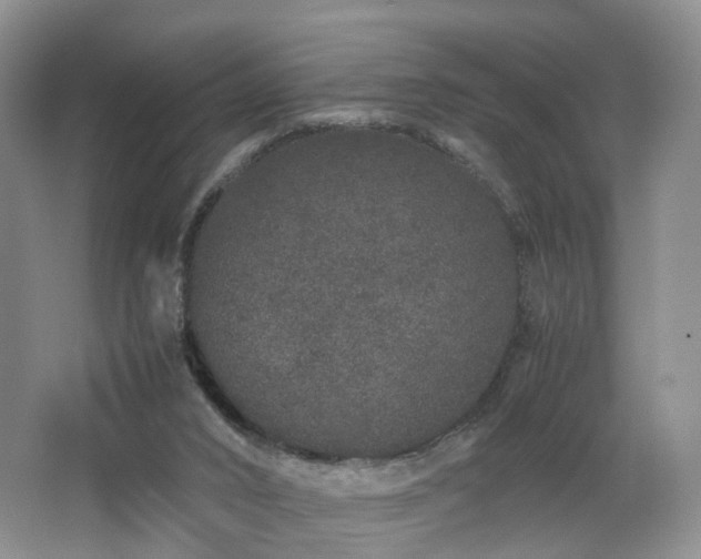 X0000062800016200512221417