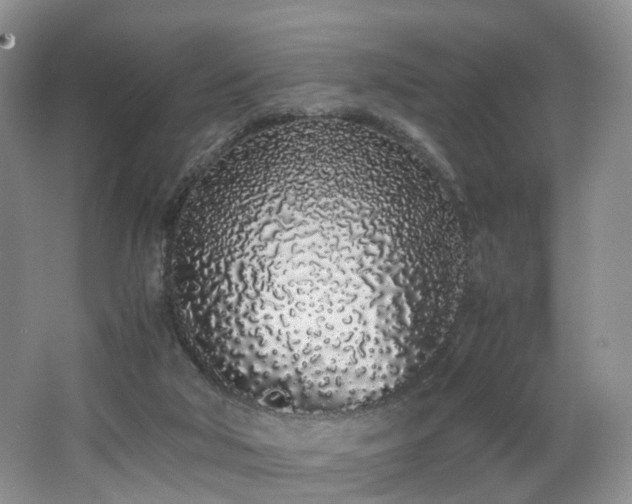 X0000062800018200512221417