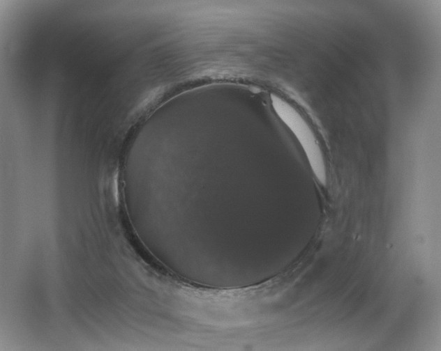 X0000062800019200512221417