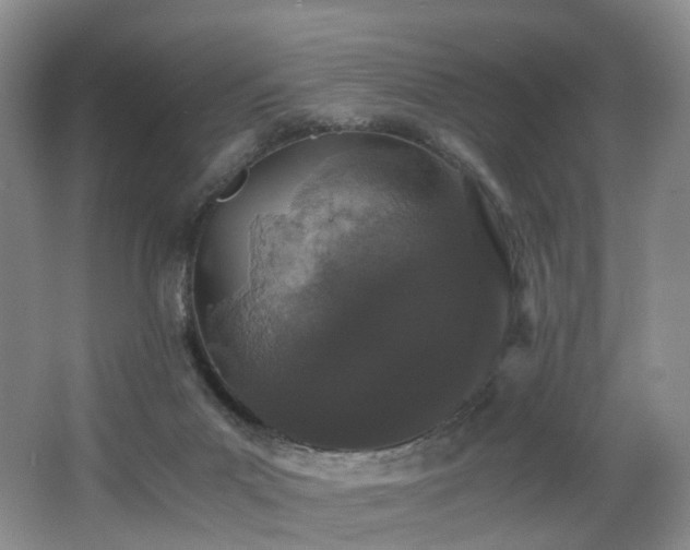 X0000062800023200512221416