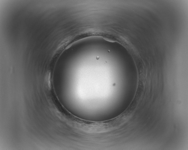 X0000062800024200512221416
