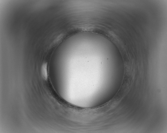 X0000062800028200512221416