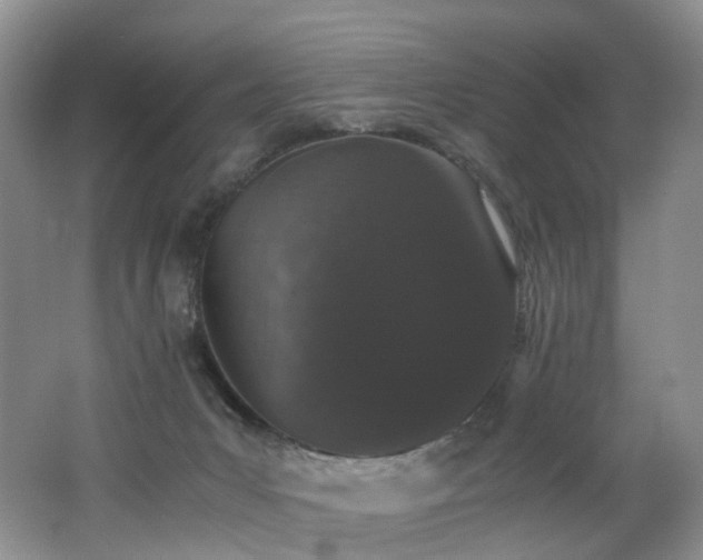 X0000062800031200512221416
