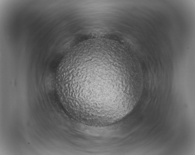 X0000062800034200512221416