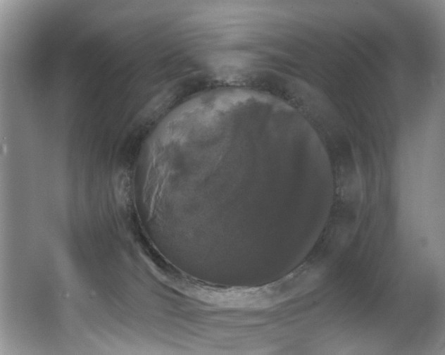 X0000062800036200512221416