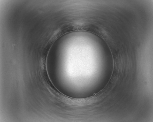 X0000062800038200512221416