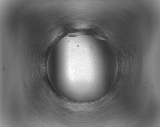 X0000062800040200512221416