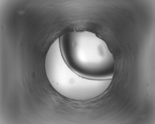 X0000062800041200512221416